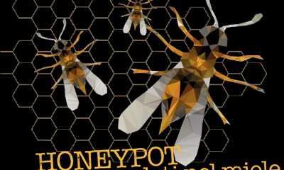 Honeypot, trappola per cracker
